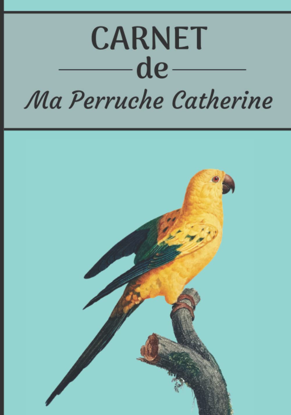 CARNET de ma Perruche Catherine: Carnet de santé et d’évolution pour oiseaux | 116 pages, 18cm x 25cm | Idéal pour les propriétaires d’un oiseau.| book