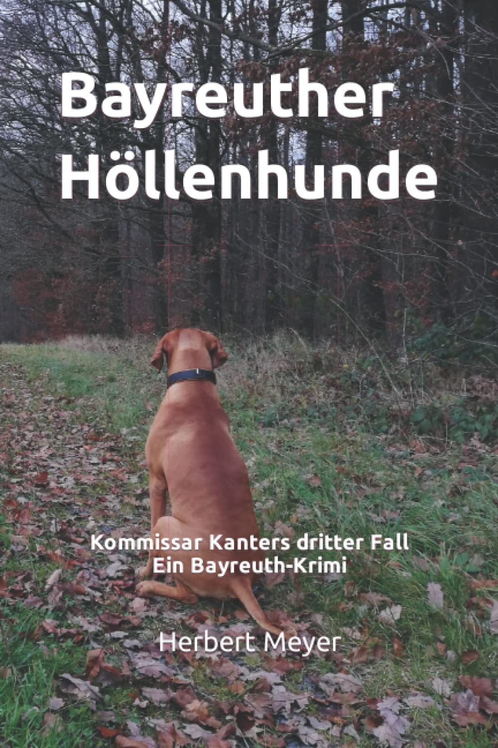 Bayreuther Höllenhunde: Kommissar Kanters dritter Fall Ein Bayreuth-Krimi Detective & CSI
