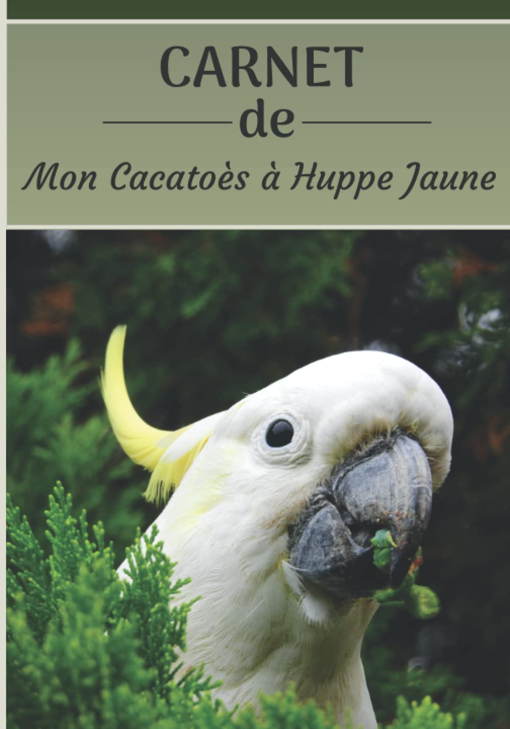 CARNET de mon Cacatoès à Huppe Jaune: Carnet de santé et d’évolution pour oiseaux | 116 pages, 18cm x 25cm | Idéal pour les propriétaires d’un oiseau.| book