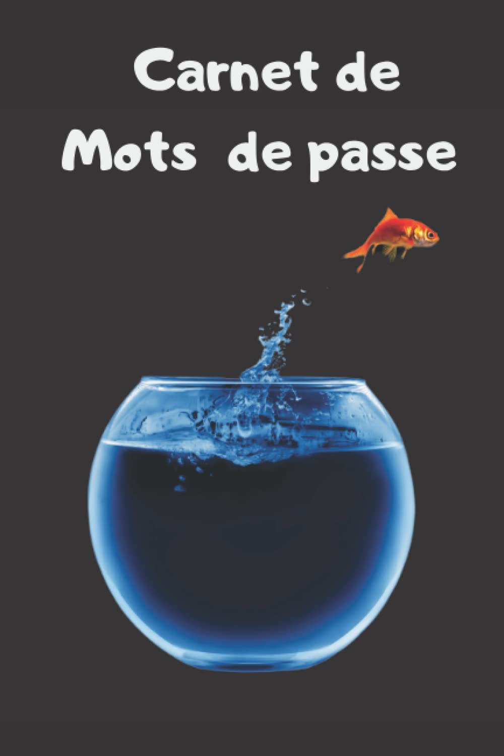 Carnet de mots de passe: Carnet de mots de passe internets/conserver vos identifiants et codes secrets dans un cahier unique book