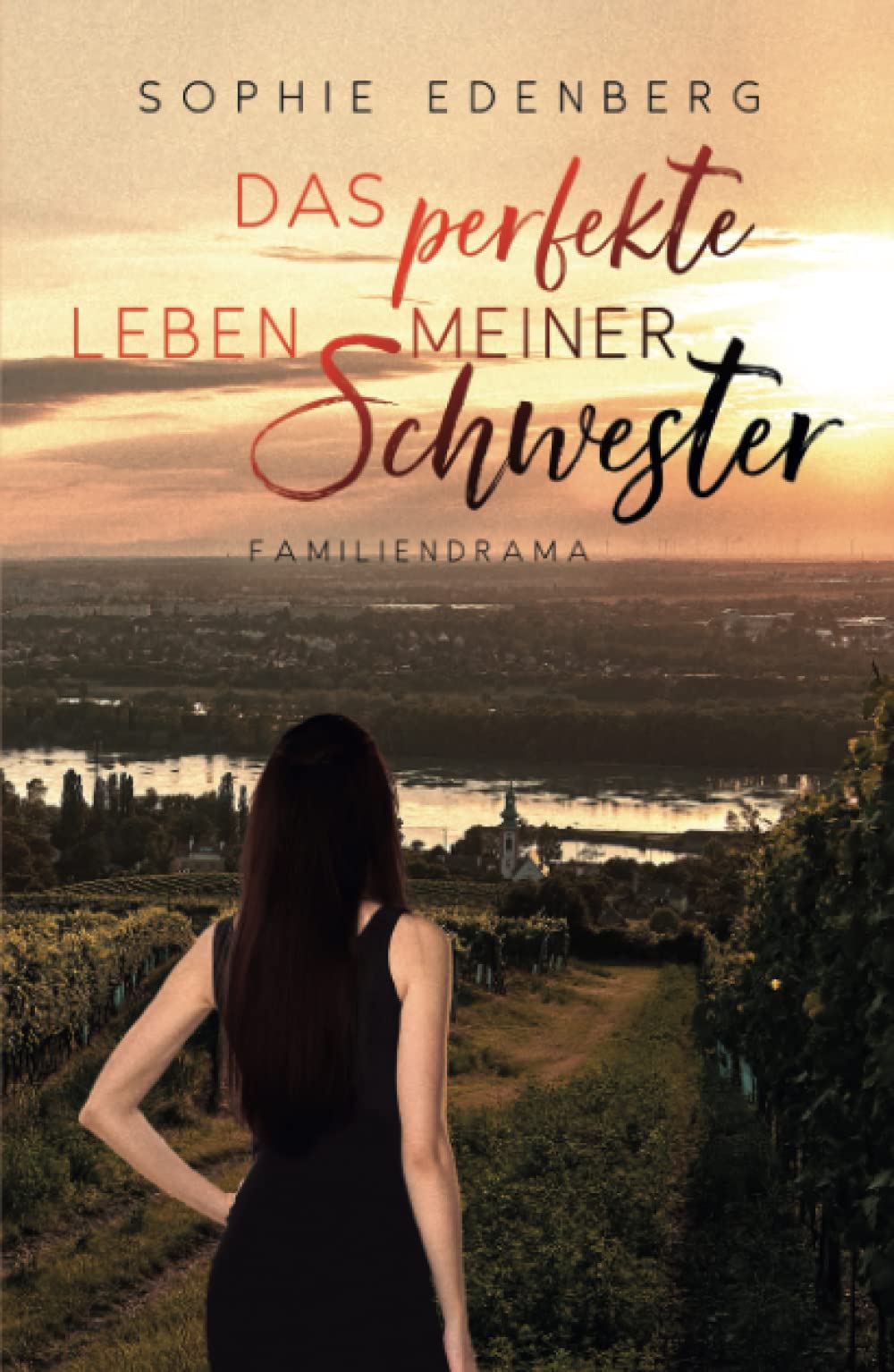 Das perfekte Leben meiner Schwester: Familiendrama Contemporary literature