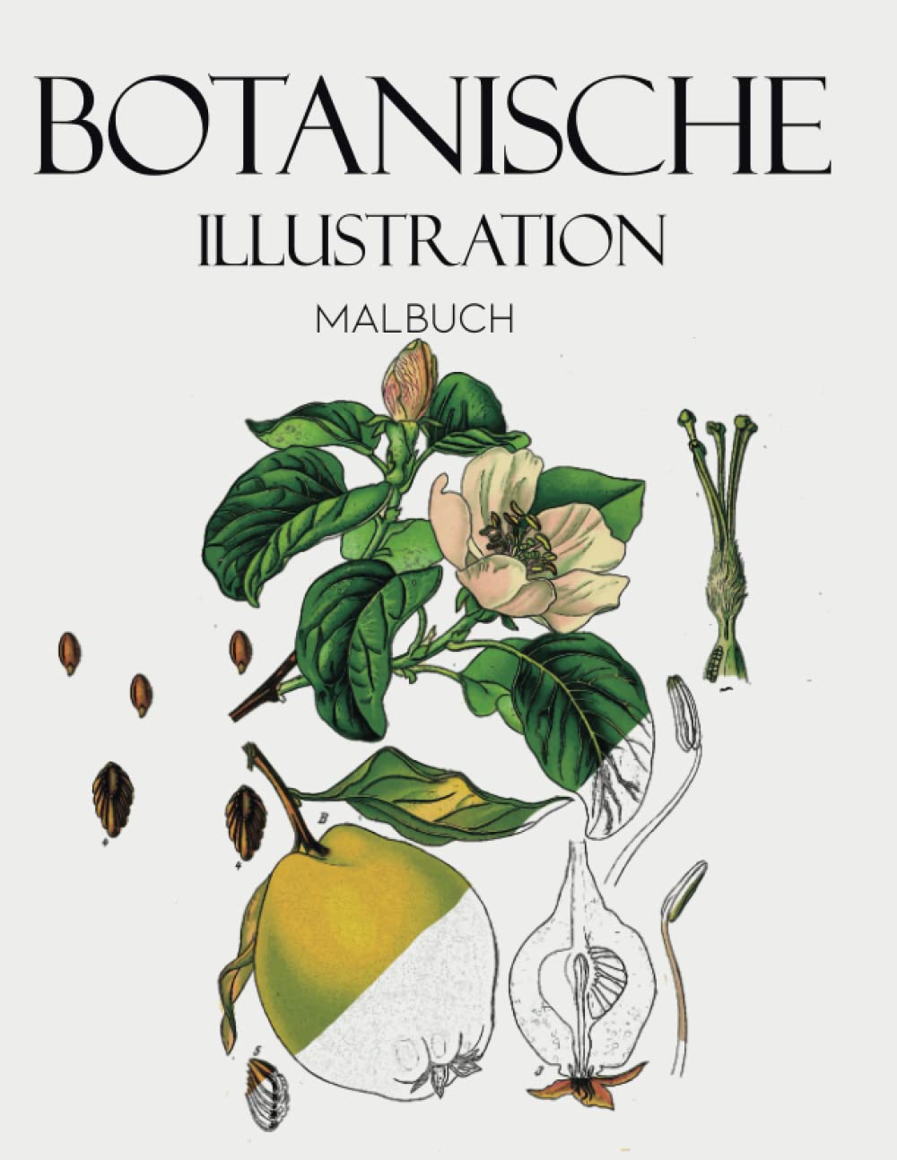 Botanische Illustration Malbuch: Blumen Illustration Malbuch Film, Art & Culture