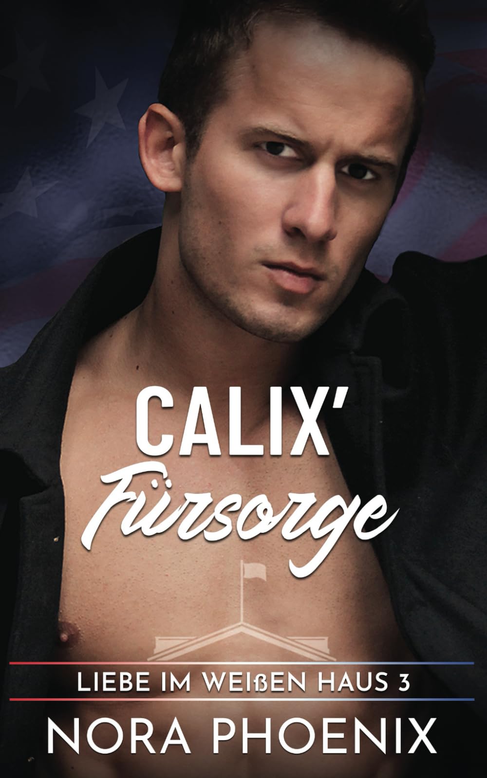 Calix' Fürsorge (Liebe im Weißen Haus, Band 3) LGBTQ+