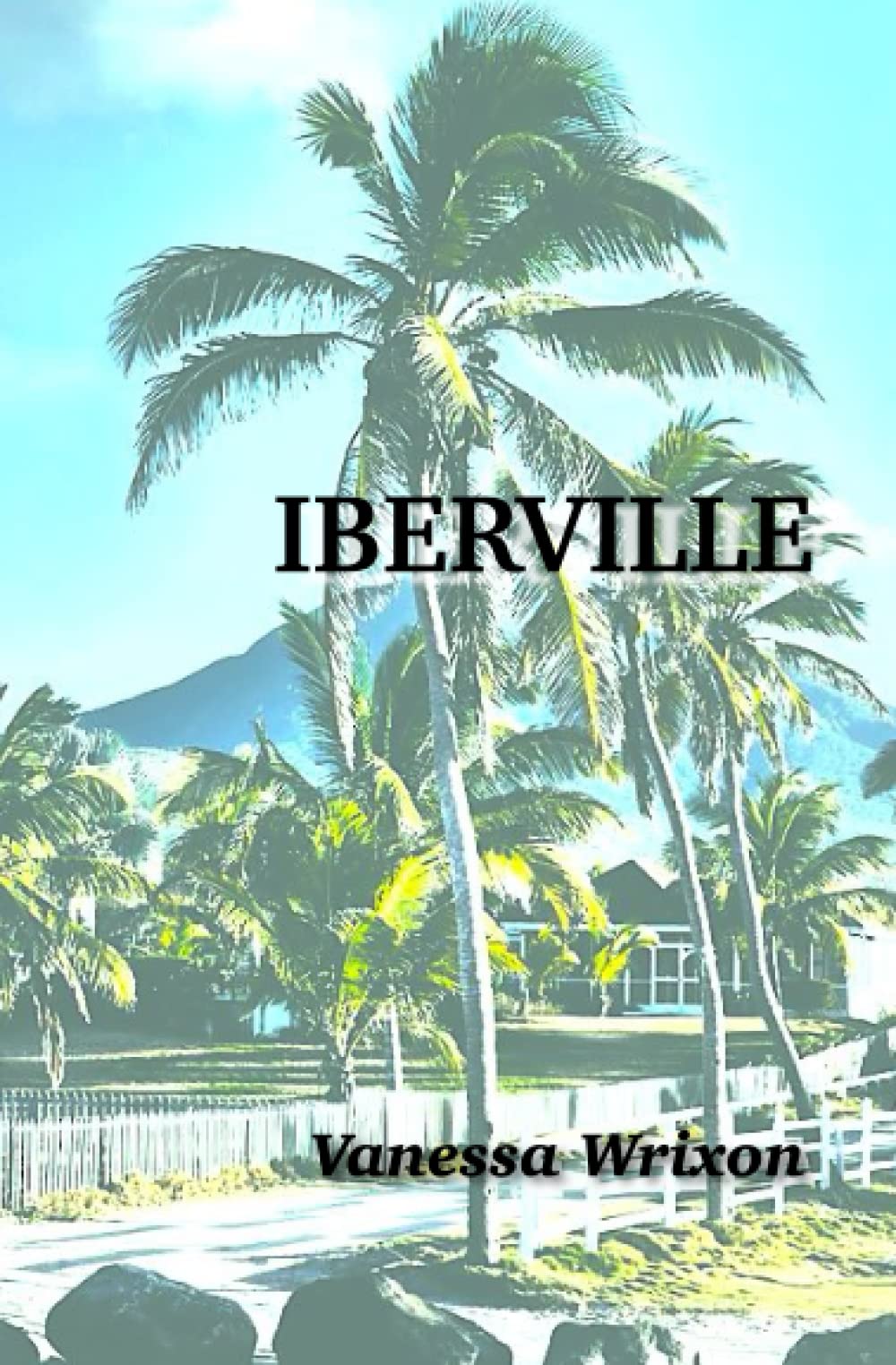 Iberville (Iberville Murder Mysteries, Band 1) Action & Adventure