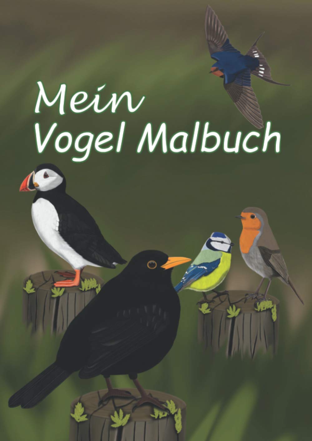 Mein Vogel Malbuch: Entdecke die Vielfalt unserer Gartenvögel, Schöne Vogelmotive zum Ansehen und Ausmalen für Kinder im A4 Format Mathematics