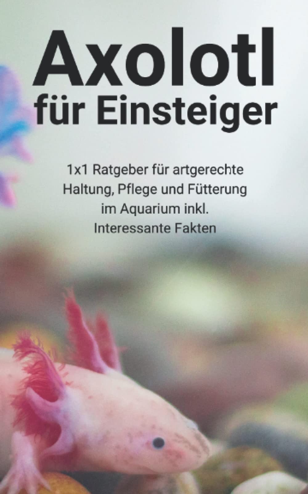 Axolotl für Einsteiger: 1x1 Ratgeber für artgerechte Haltung, Pflege und Fütterung im Aquarium inkl. Interessante Fakten Non-fiction