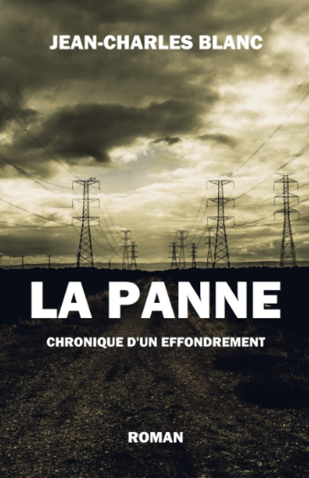 LA PANNE: CHRONIQUE D'UN EFFONDREMENT book