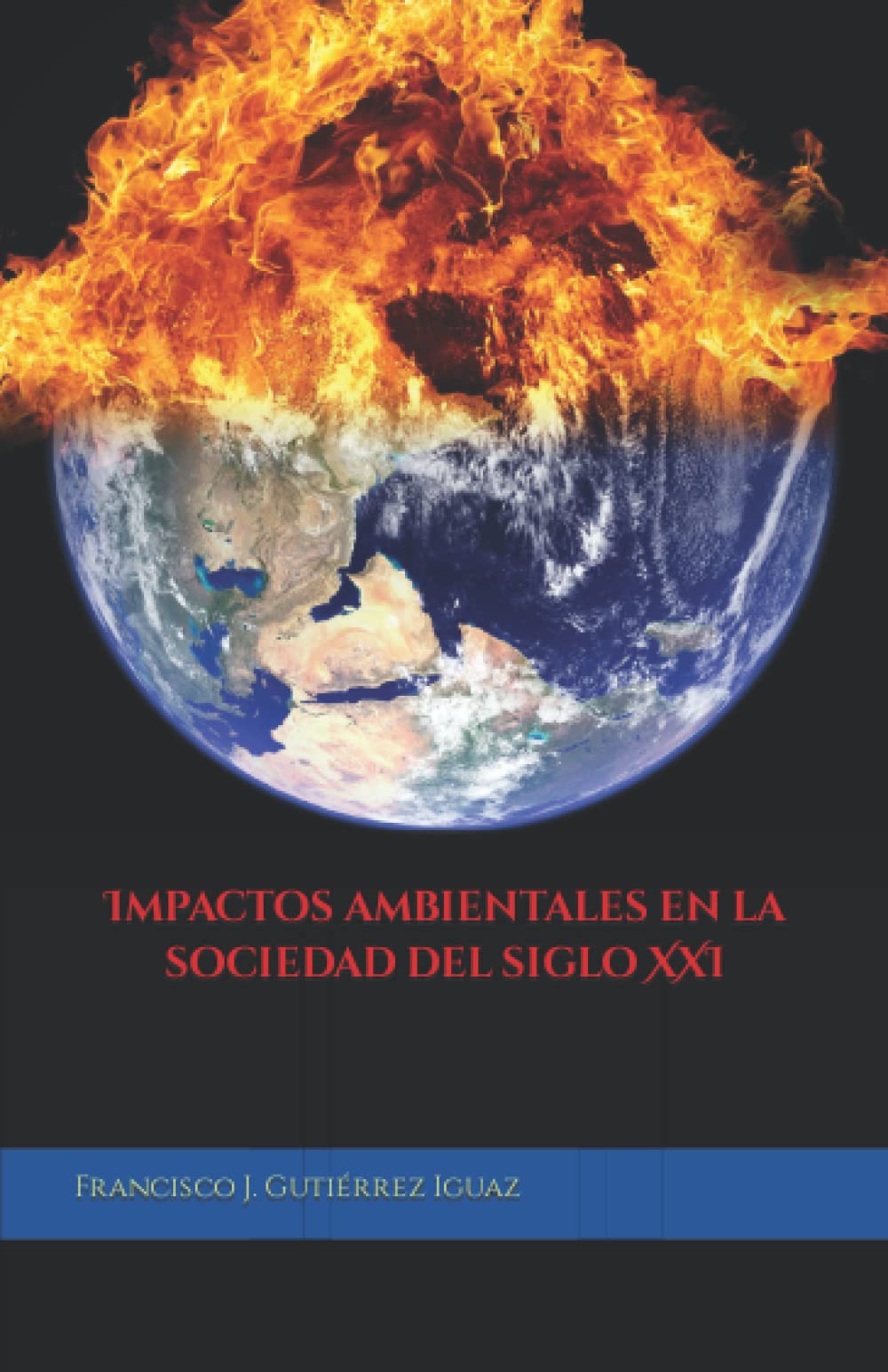 Impactos ambientales en la sociedad del siglo XXI book