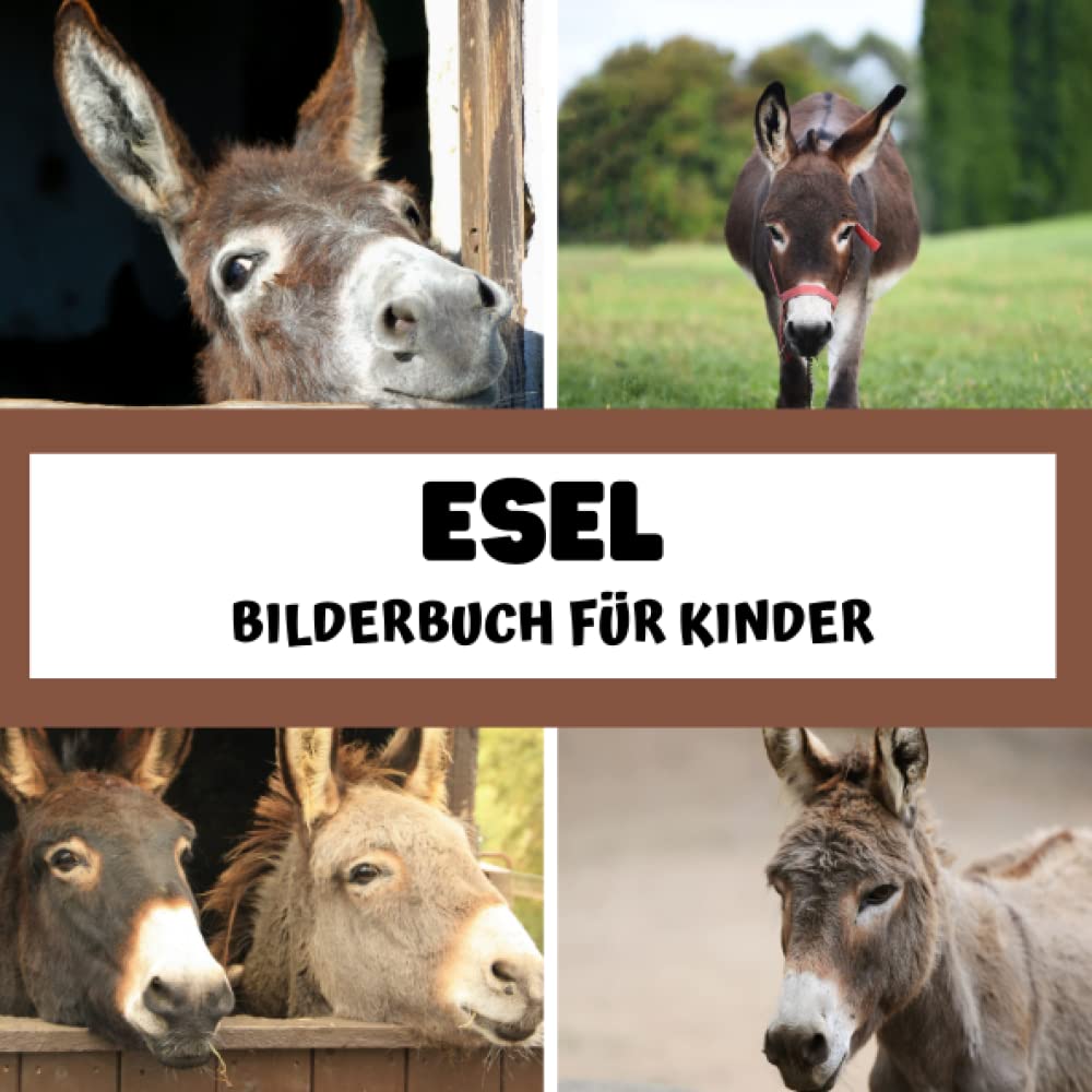 Bilderbuch für Kinder - Esel: Esel in Bildern - Kinder von 2 bis 5 Jahren Mathematics