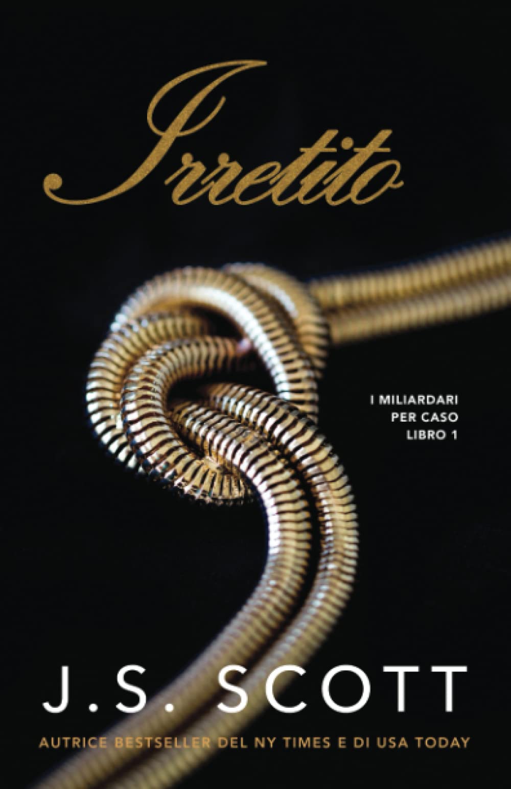 Irretito (I Miliardari per Caso, Band 1) Contemporary literature
