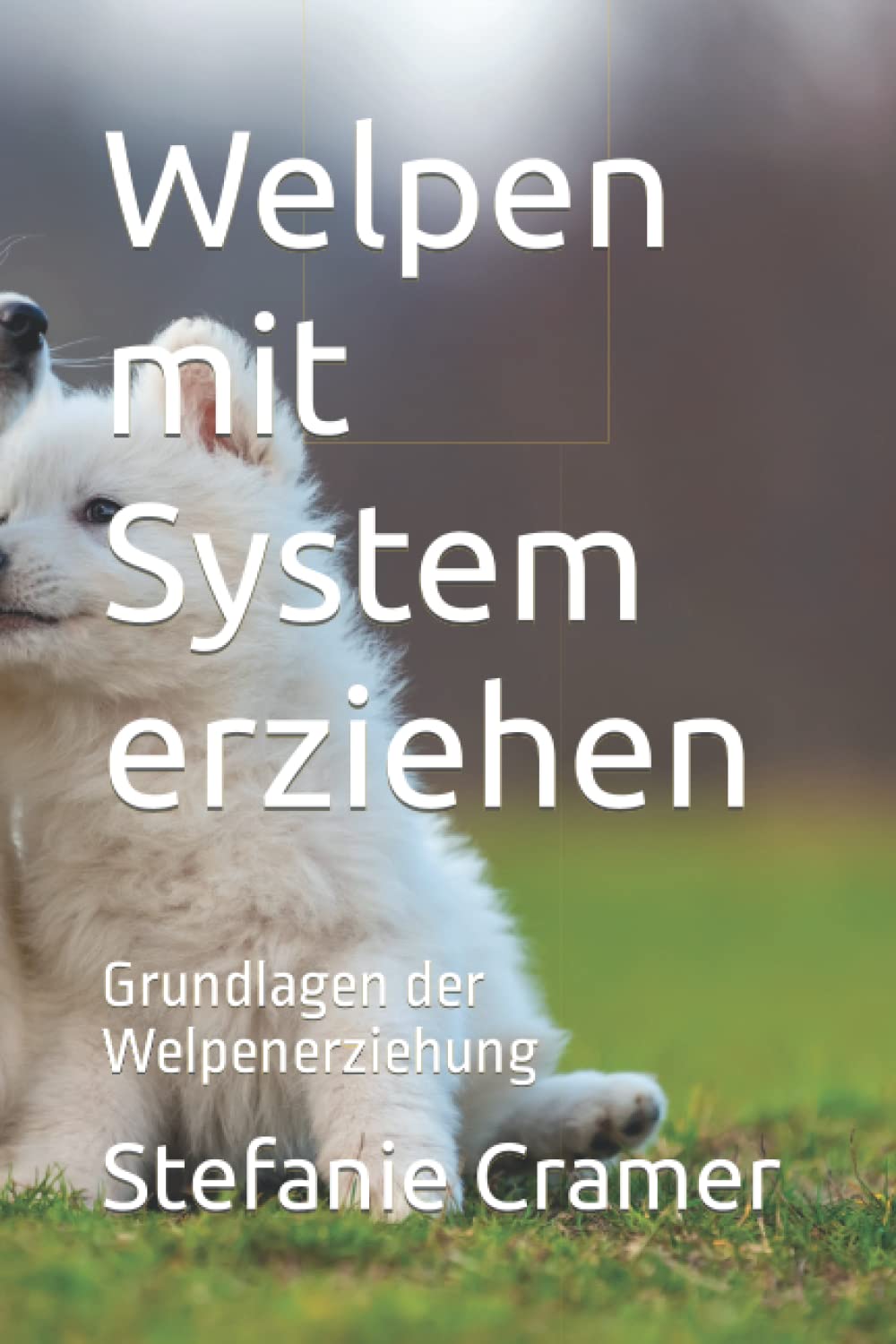 Welpen mit System erziehen: Grundlagen der Welpenerziehung Pets