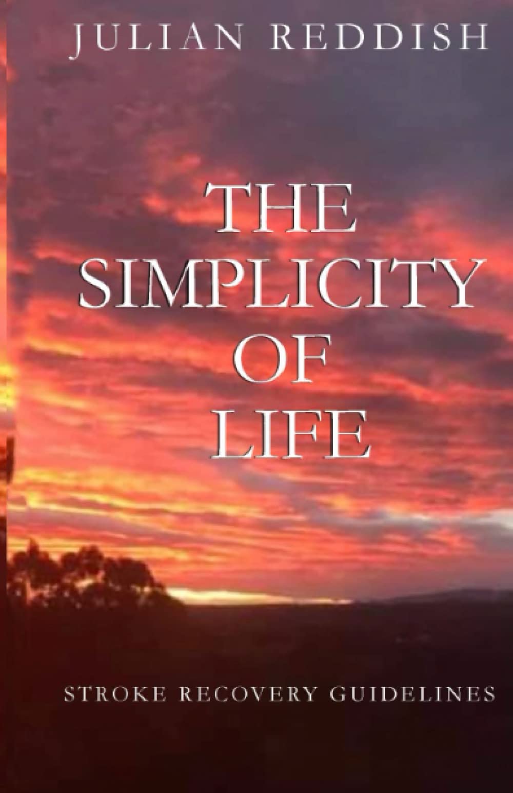 The Simplicity of Life: Stroke Recovery Guidelines Self-help