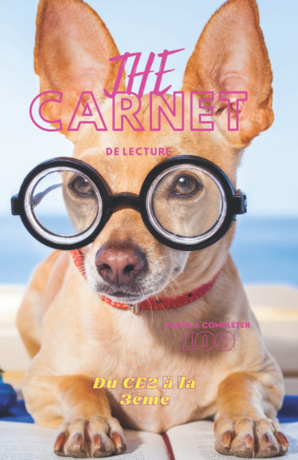 The carnet de lecture: Fiches de lecture CE2 à la 3éme a remplir book