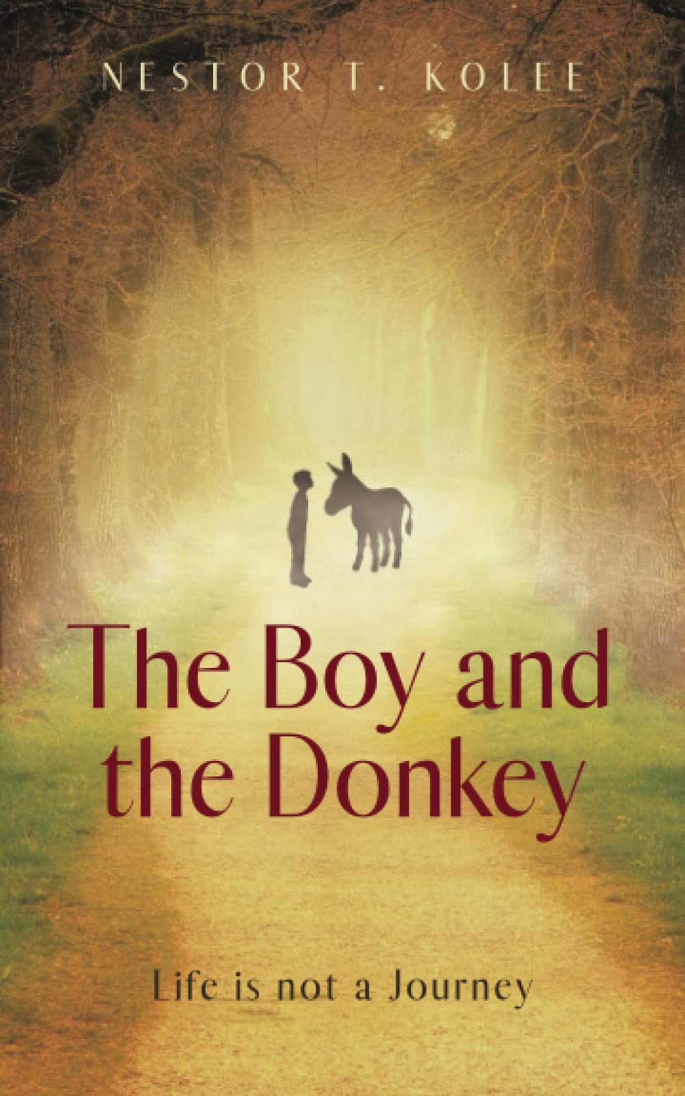 The Boy and the Donkey: Life is not a Journey Contemporary literature