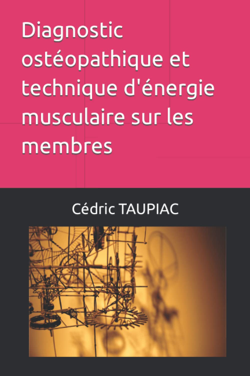 Diagnostic ostéopathique et technique d'énergie musculaire sur les membres book