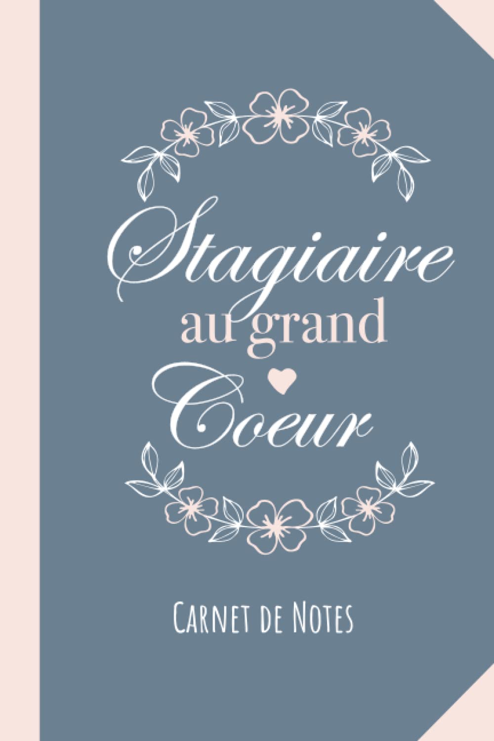 Stagiaire au grand coeur: Carnet de notes (A5) - Idee Cadeau original pour une Stagiaire - Idée Cadeaux d'anniversaire ou de Noël book