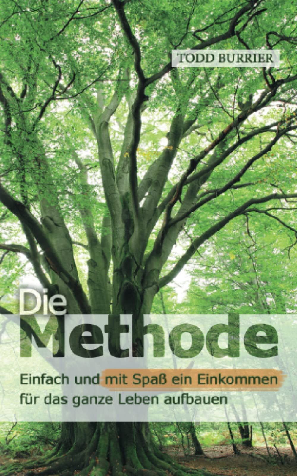 Die Methode: Einfach und mit Spaß ein Einkommen für das ganze Leben aufbauen Business, Finance & Career