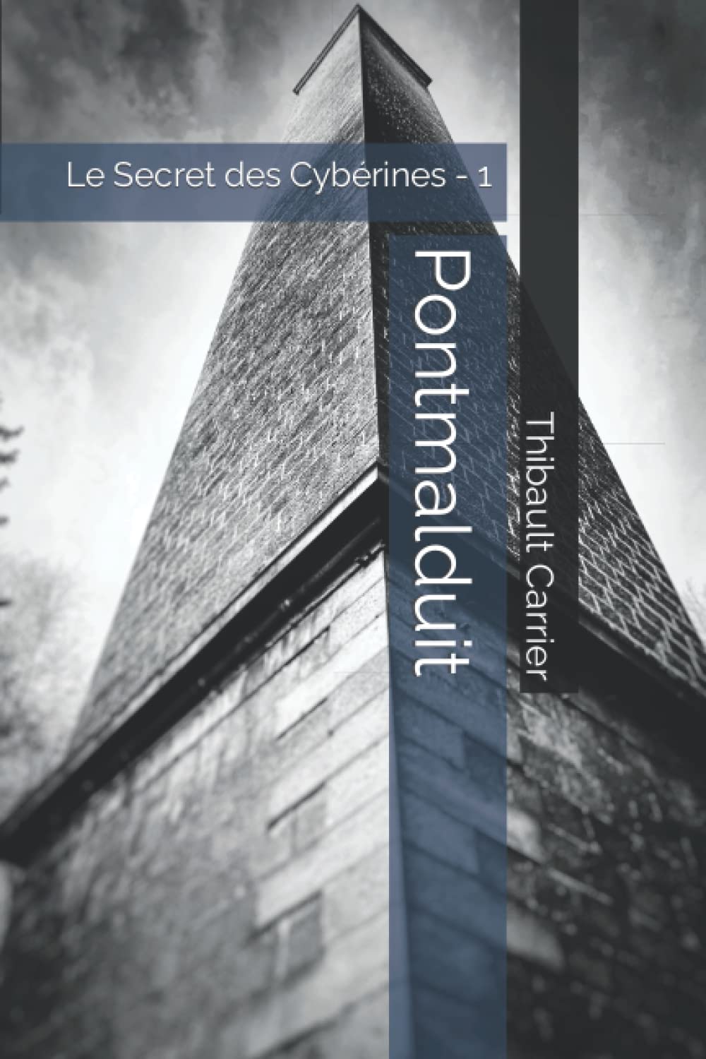 Pontmalduit: Le Secret des Cybérines - 1 book