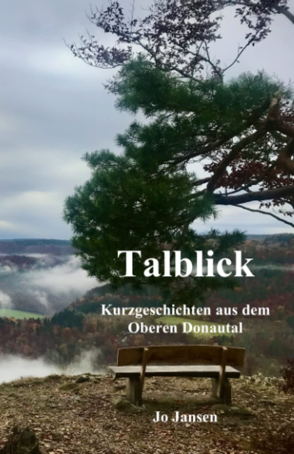 Talblick: Kurzgeschichten aus dem Oberen Donautal Essays & Short Stories