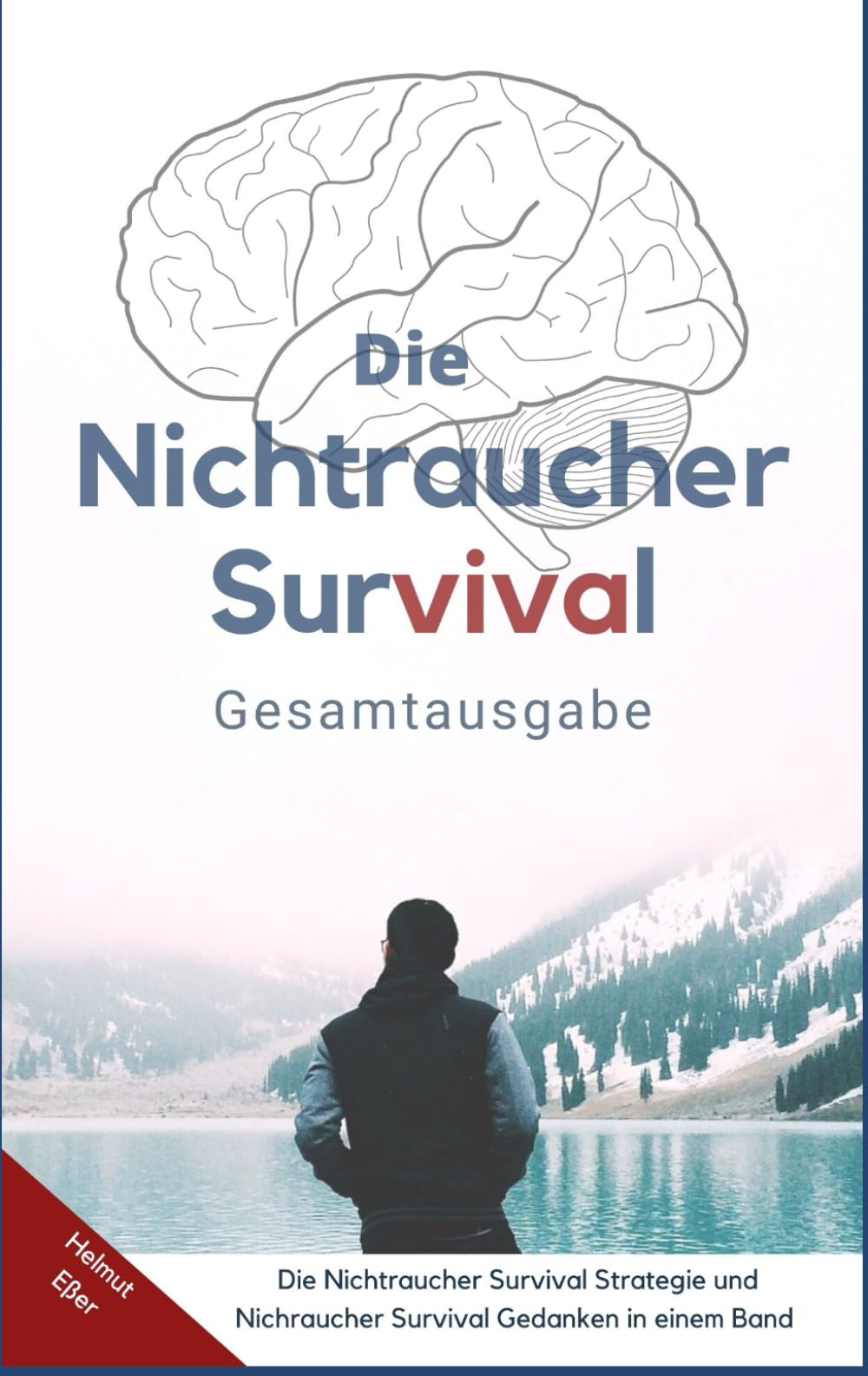 Die Nichtraucher Strategie Gesamtausgabe- Rauchen aufhören und nikotinfrei bleiben: Nikotinsucht besiegen, ohne Nikotinentzug dank konsequenter Vorbereitung und optimalen System Medicine