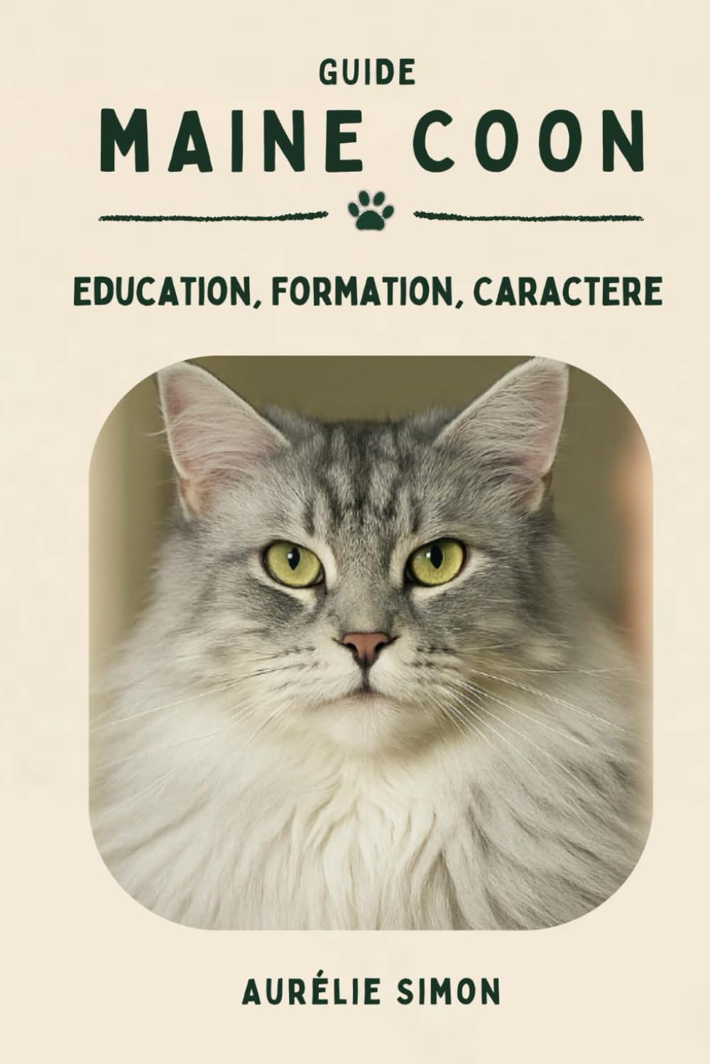 Maine Coon: Nutrition, Éducation, Formation et bien plus encore Non-fiction