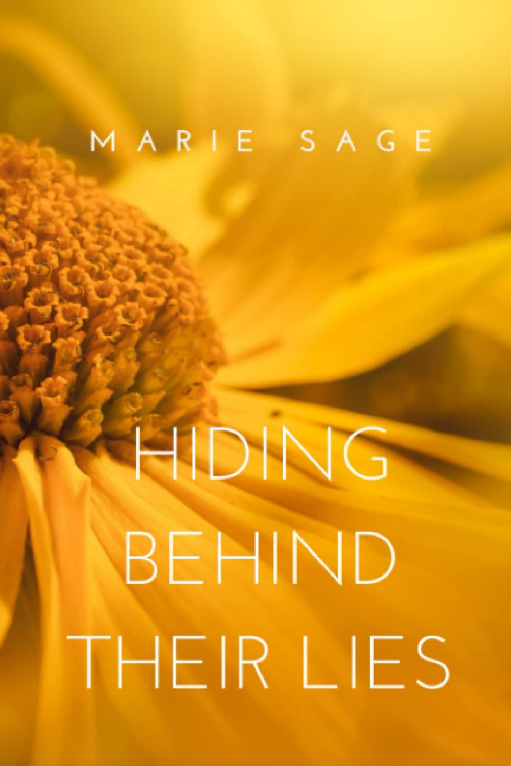 Hiding Behind Their Lies (Westbrook Series, Band 3) New Adult