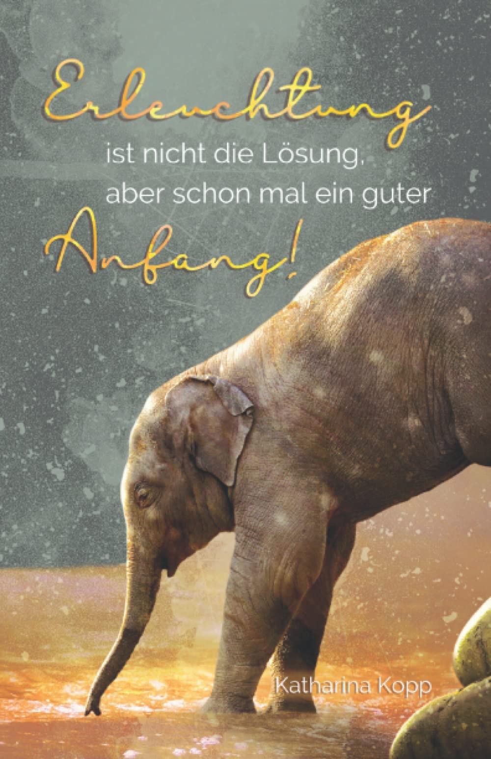 Erleuchtung ist nicht die Lösung, aber schon mal ein guter Anfang! Religion & Esotericism
