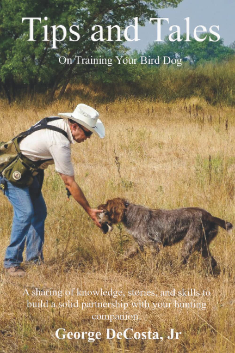 Tips and Tales: On Training Your Bird Dog Pets