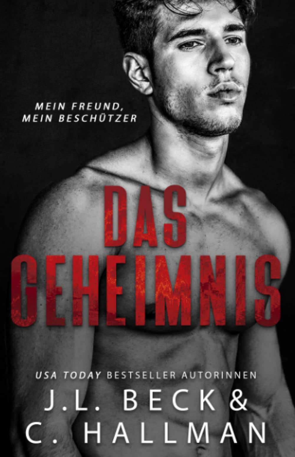 Das Geheimnis: Mein Freund, Mein Beschützer (North Woods Universität) Contemporary literature