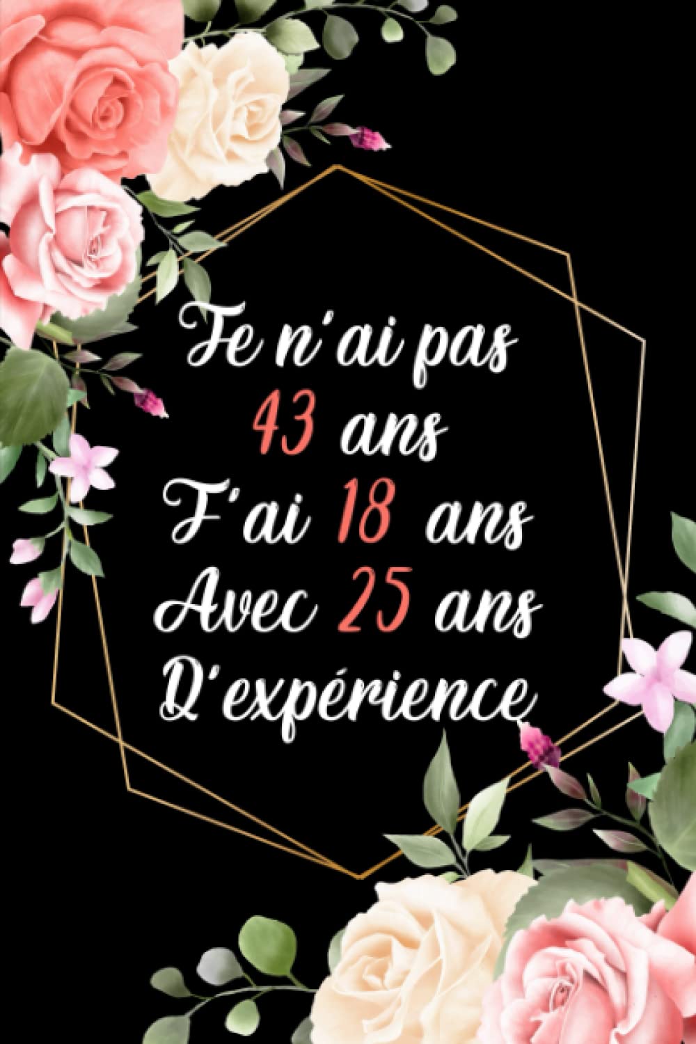 Je N'ai Pas 43 Ans: Carnet De Notes: Cadeau Original Pour Femme, Message Pour Souhaiter Joyeux Anniversaire / 6 x 9 - 120 pages book