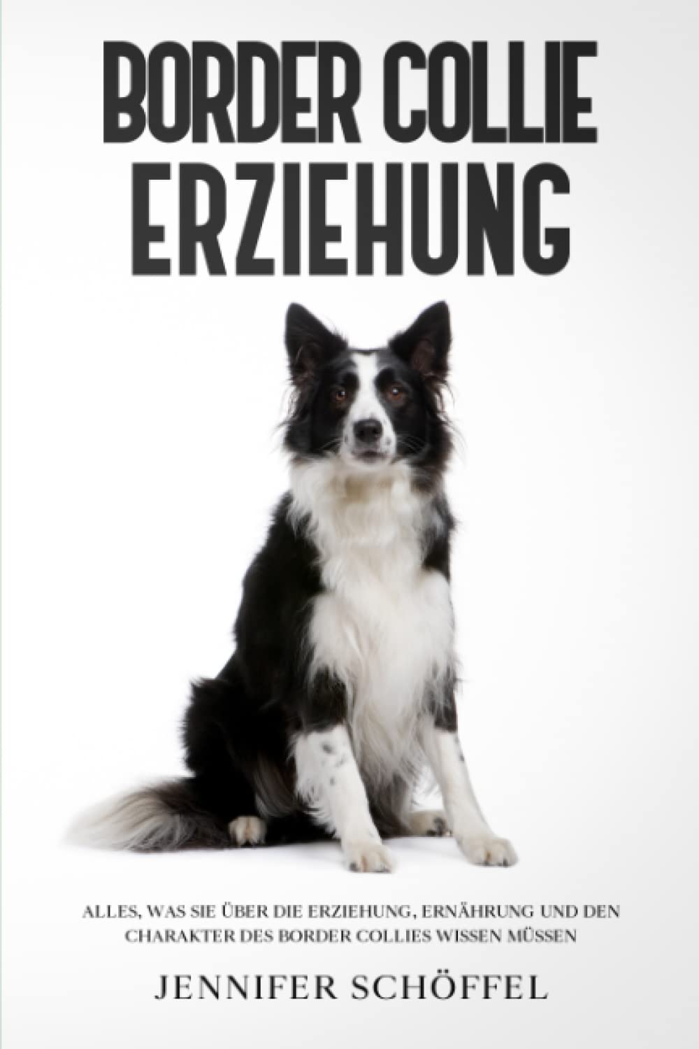 Border Collie Erziehung: Alles, was Sie über die Erziehung, Ernährung und den Charakter des Border Collies wissen müssen Pets