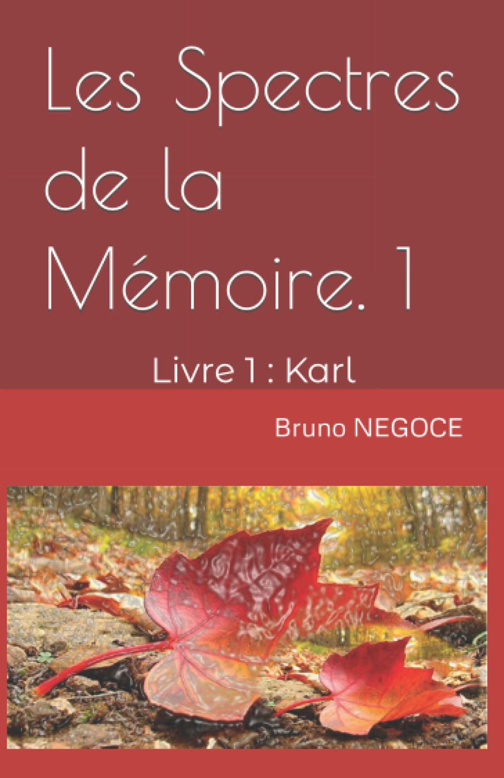 Les Spectres de la Mémoire: Livre 1 : Karl Historical Fiction