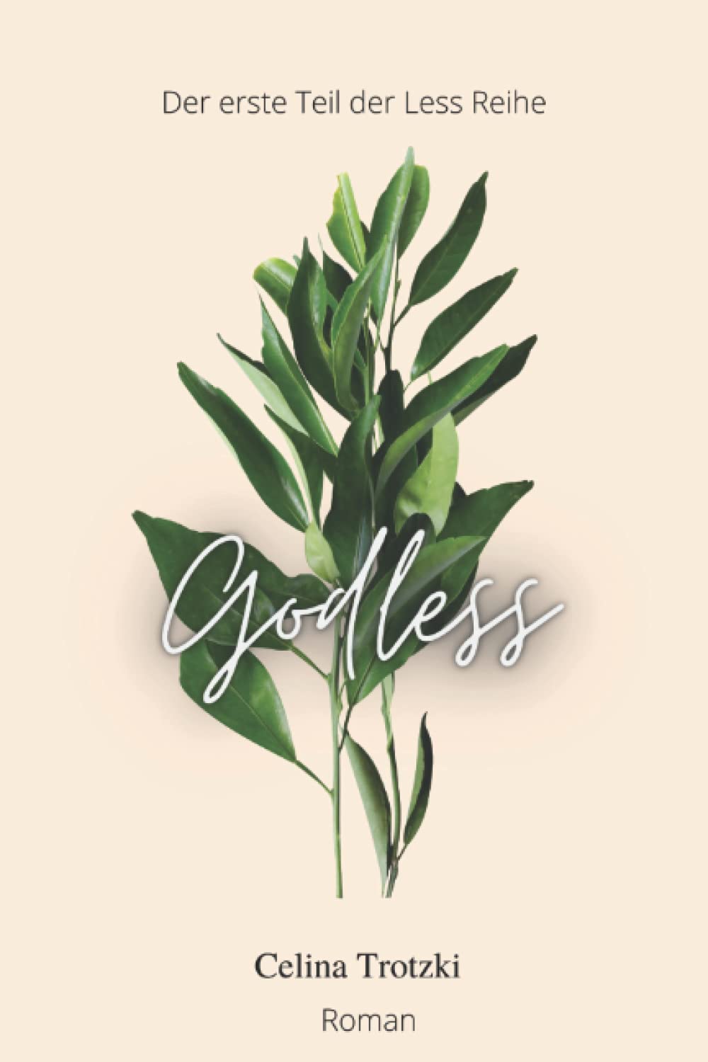 Godless (Less Reihe, Band 1) Contemporary literature