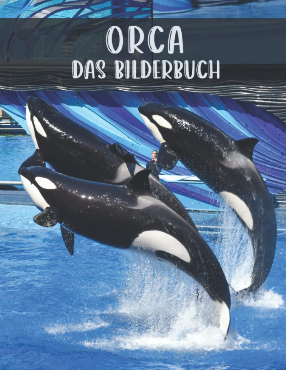 Orca: Das Bilderbuch vom schönen Orca für Senioren, Demenzkranke und Alzheimer-Patienten zur Unterstützung bei Gedächtnisverlust. Health, Nutrition & Fitness
