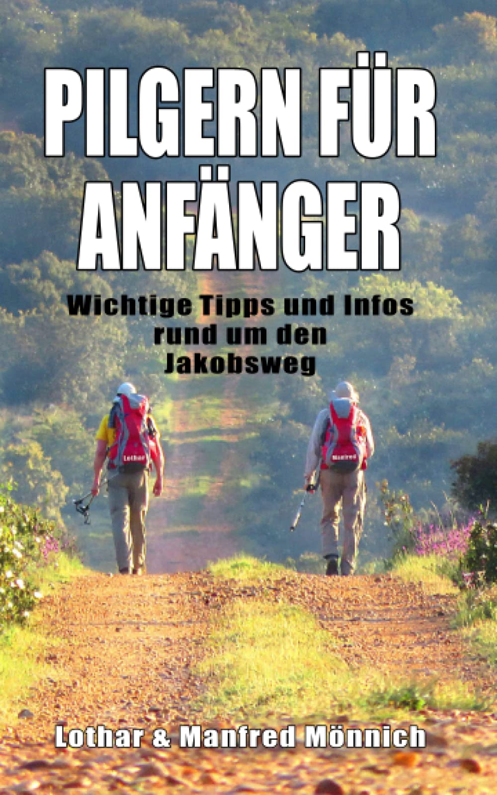 Pilgern für Anfänger: Wichtige Tipps & Infos rund um den Jakobsweg / Camino Francés Travel