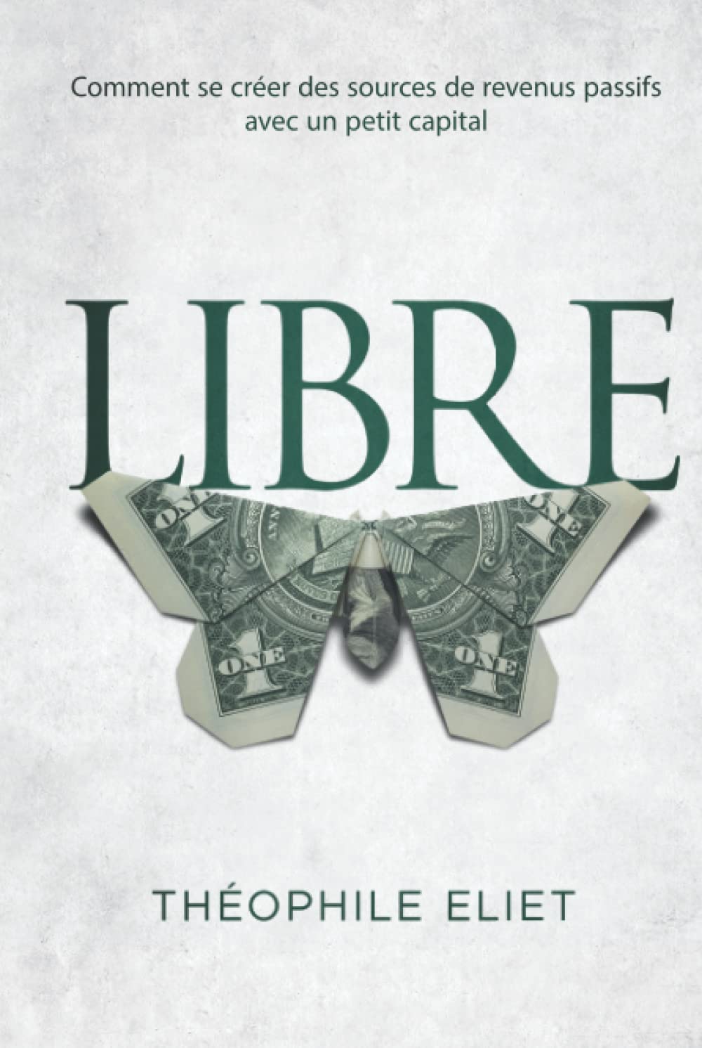 LIBRE: Comment se créer des sources de revenus passifs avec un petit capital Business, Finance & Career