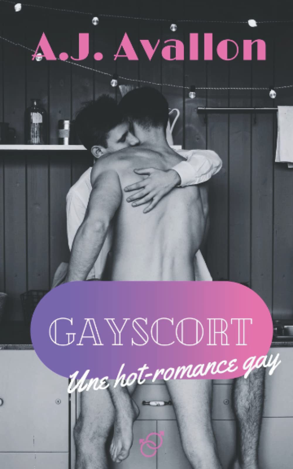 Gayscort (tome 1) Une hot romance gay MM book