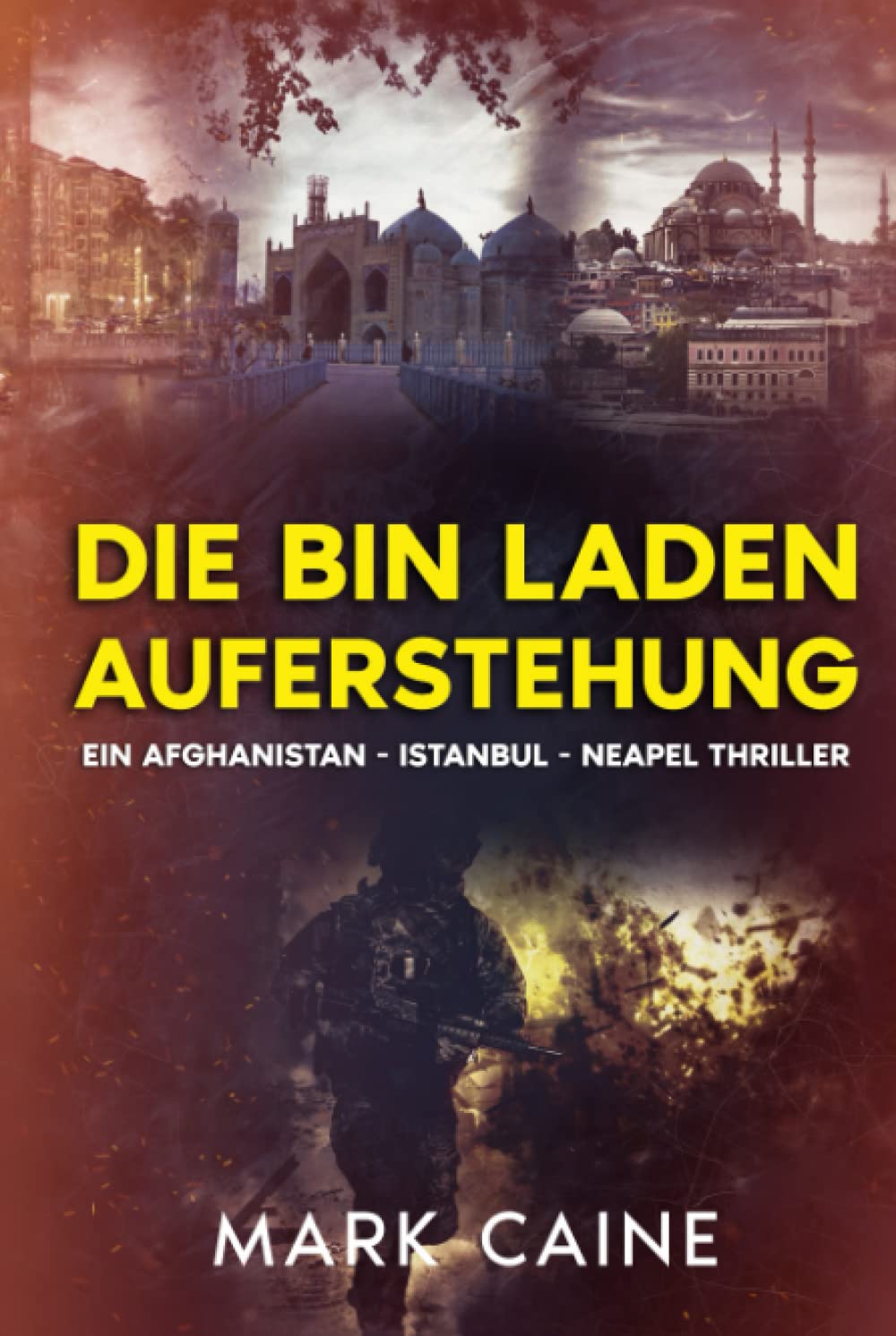 Die Bin Laden Auferstehung: Ein Afghanistan - Istanbul - Neapel Thriller book