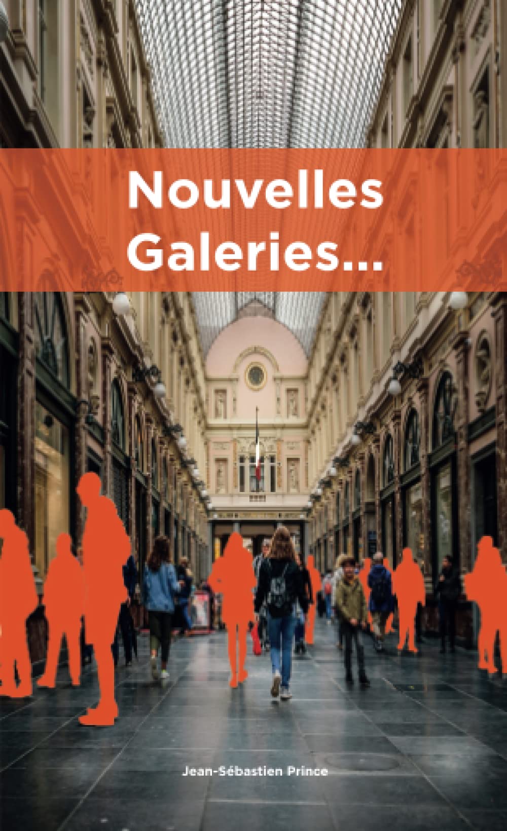Nouvelles galeries ... et grands bazars réunis book