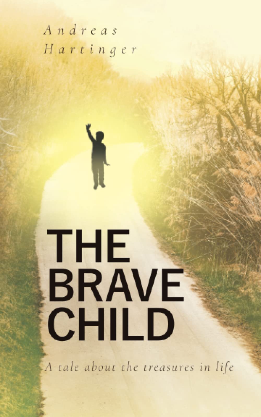 The Brave Child: A Tale About The Treasures In Life Contemporary literature