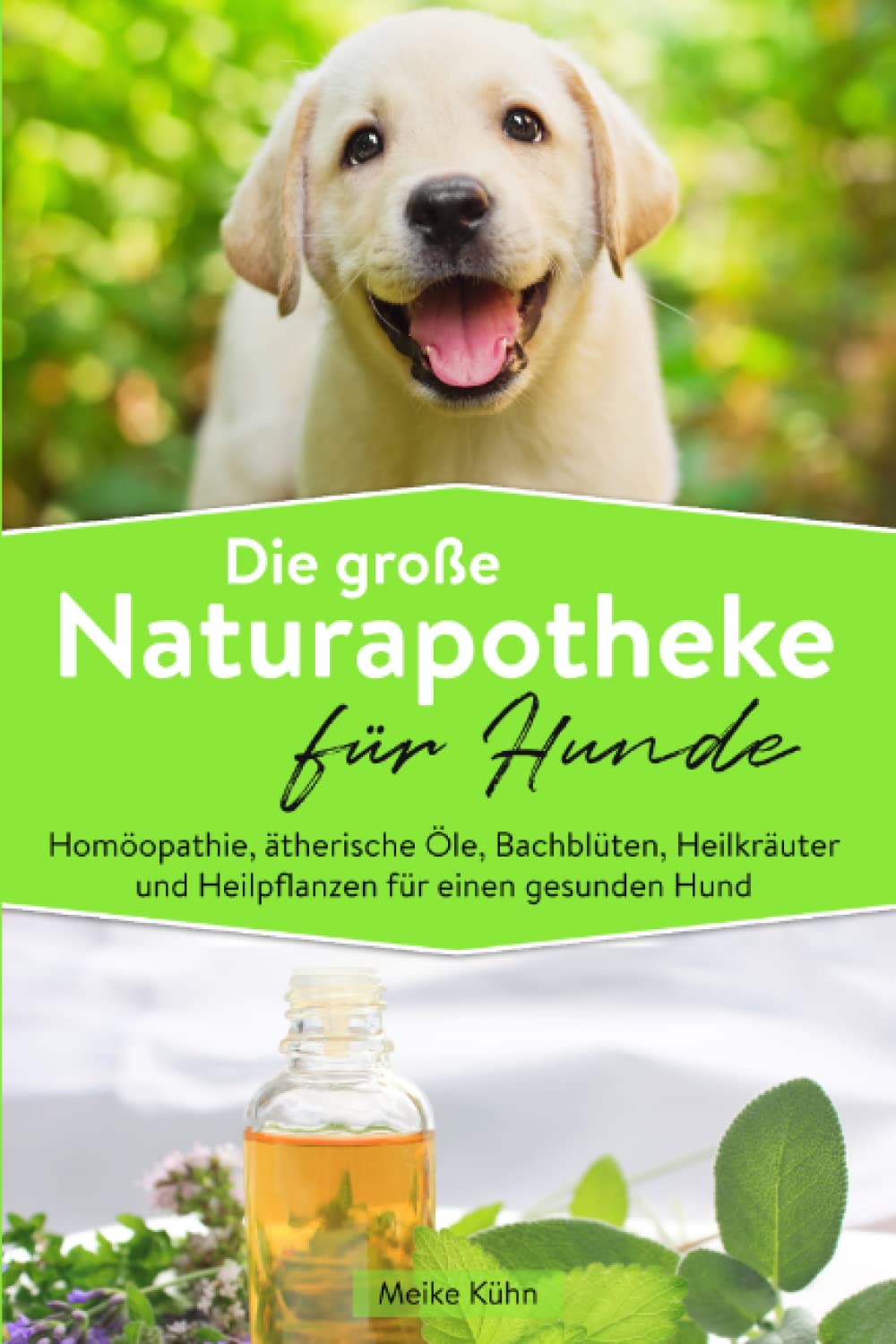 Die große Naturapotheke für Hunde: Homöopathie, ätherische Öle, Bachblüten, Heilkräuter und Heilpflanzen für einen gesunden Hund Pets