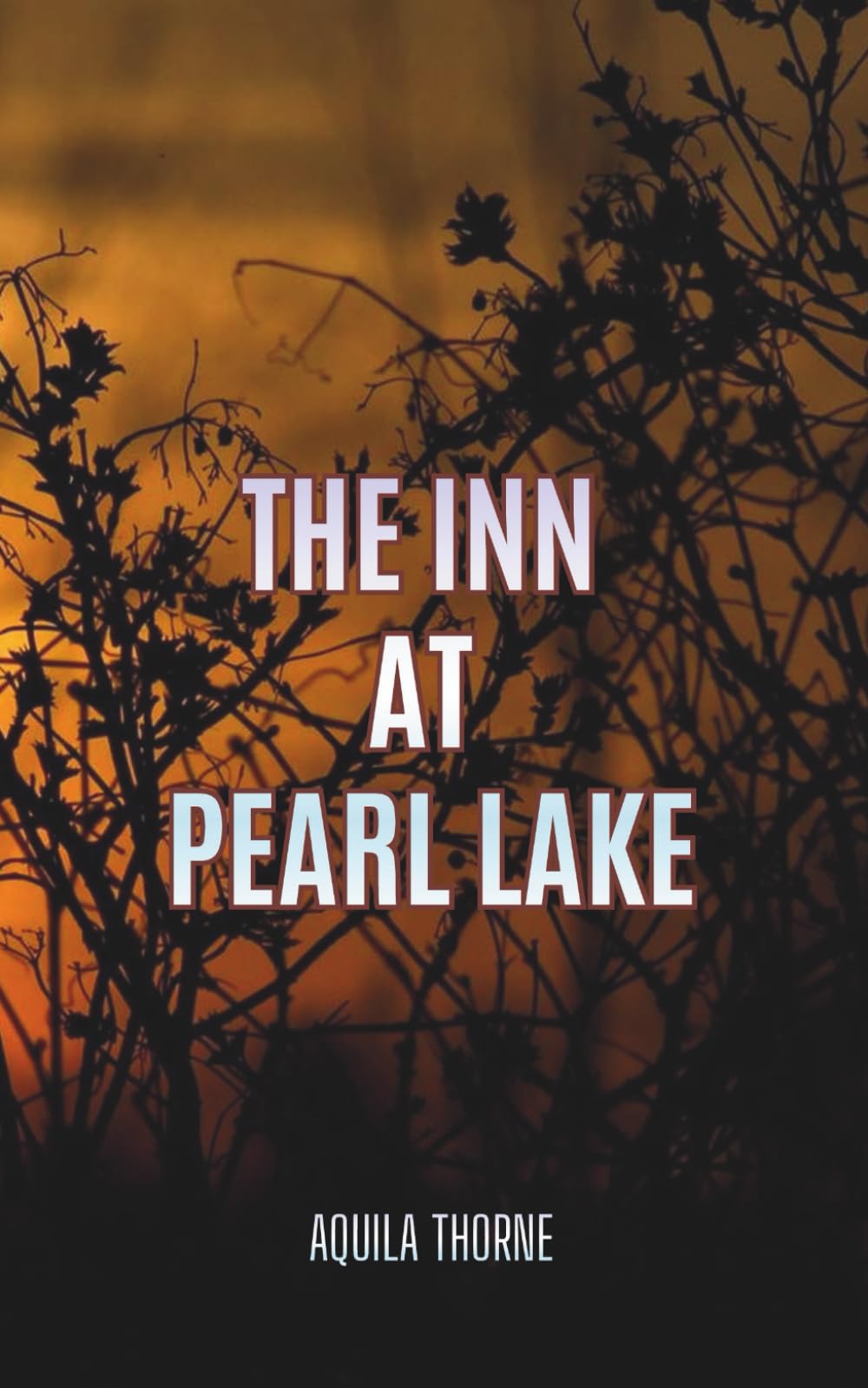 The Inn at Pearl Lake book
