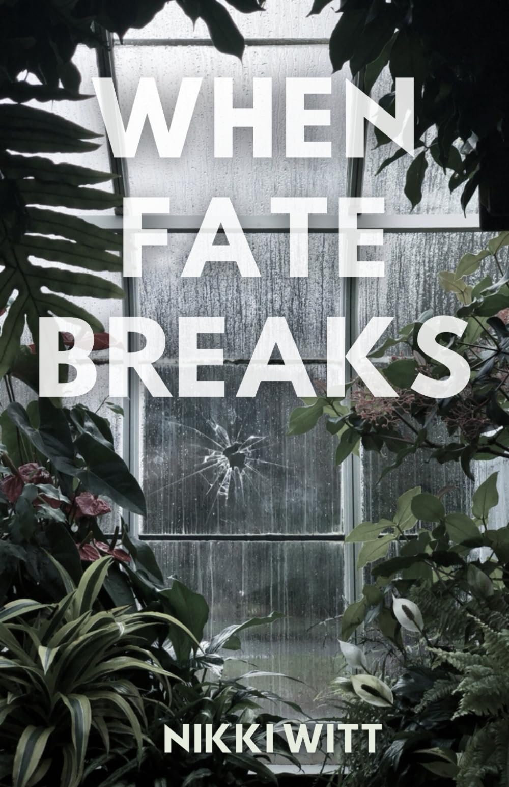 When Fate Breaks Romantic Thrillers Books