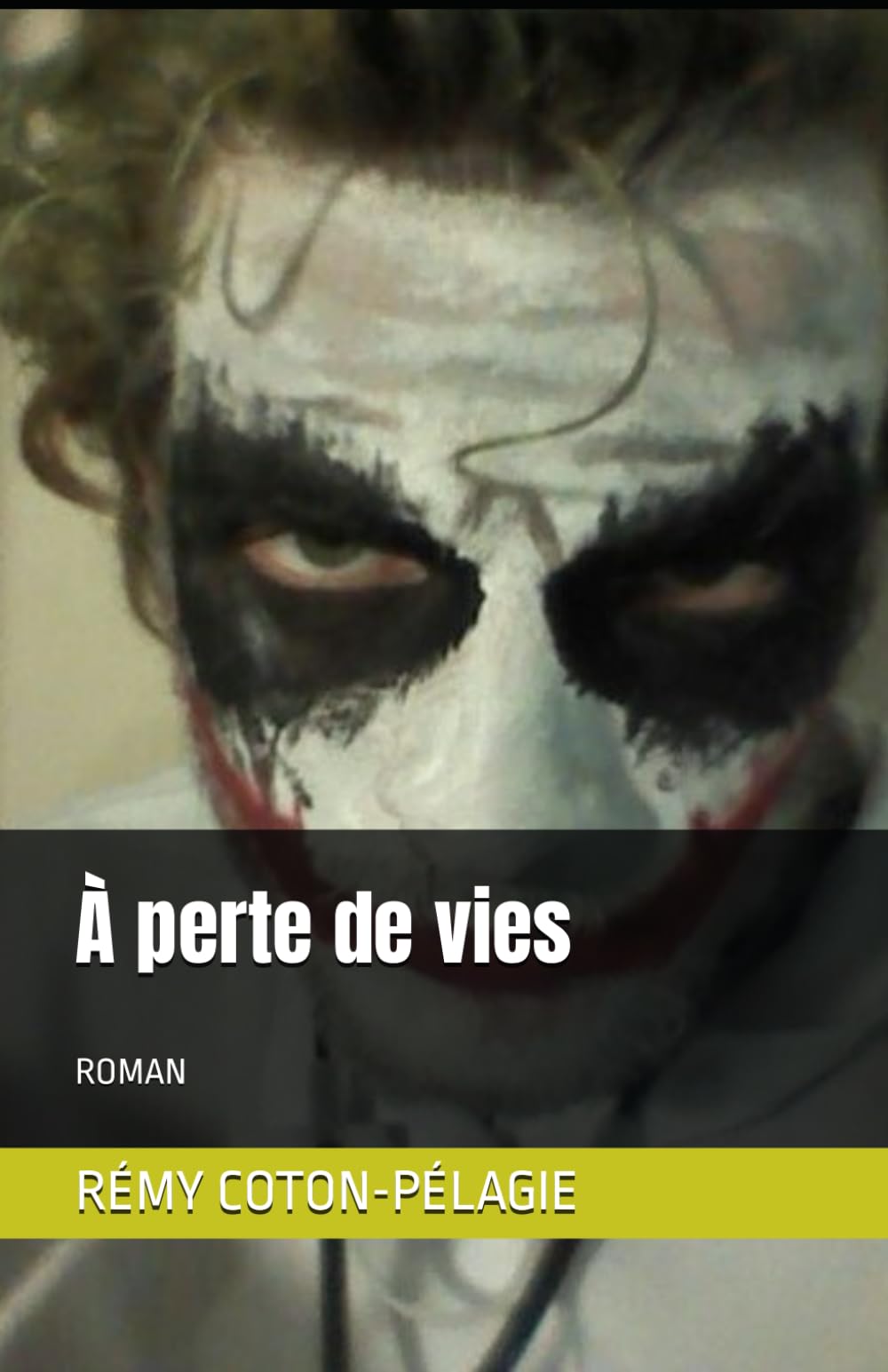 À perte de vies: ROMAN book