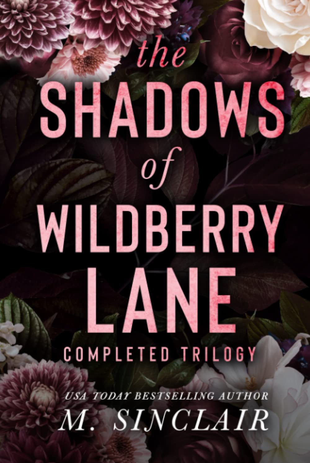 The Shadows of Wildberry Lane: Completed Trilogy book