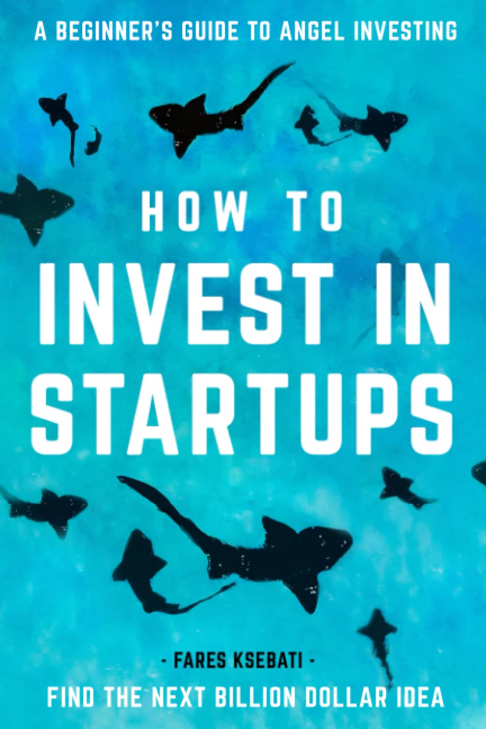 How to Invest in Startups: A Beginner's Guide to Angel Investing Business, Finance & Career