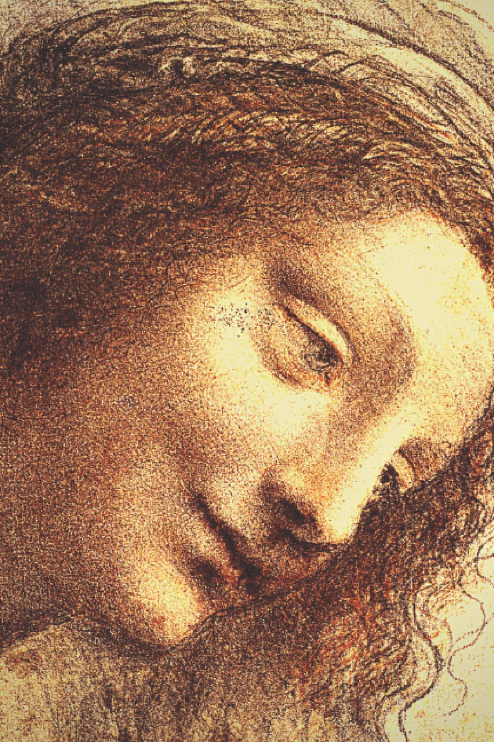 Carnet de notes: La tête de la Vierge en vue Three-Quarter face vers la droite, Leonardo da Vinci, 1510-1513 book