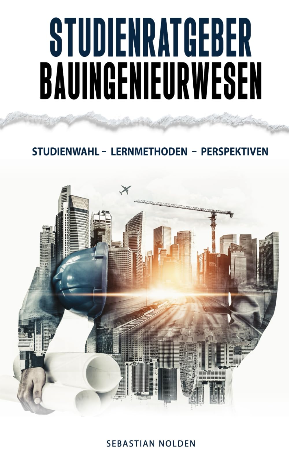 Studienratgeber Bauingenieurwesen: Studienwahl – Lernmethoden – Perspektiven Learning & Reference