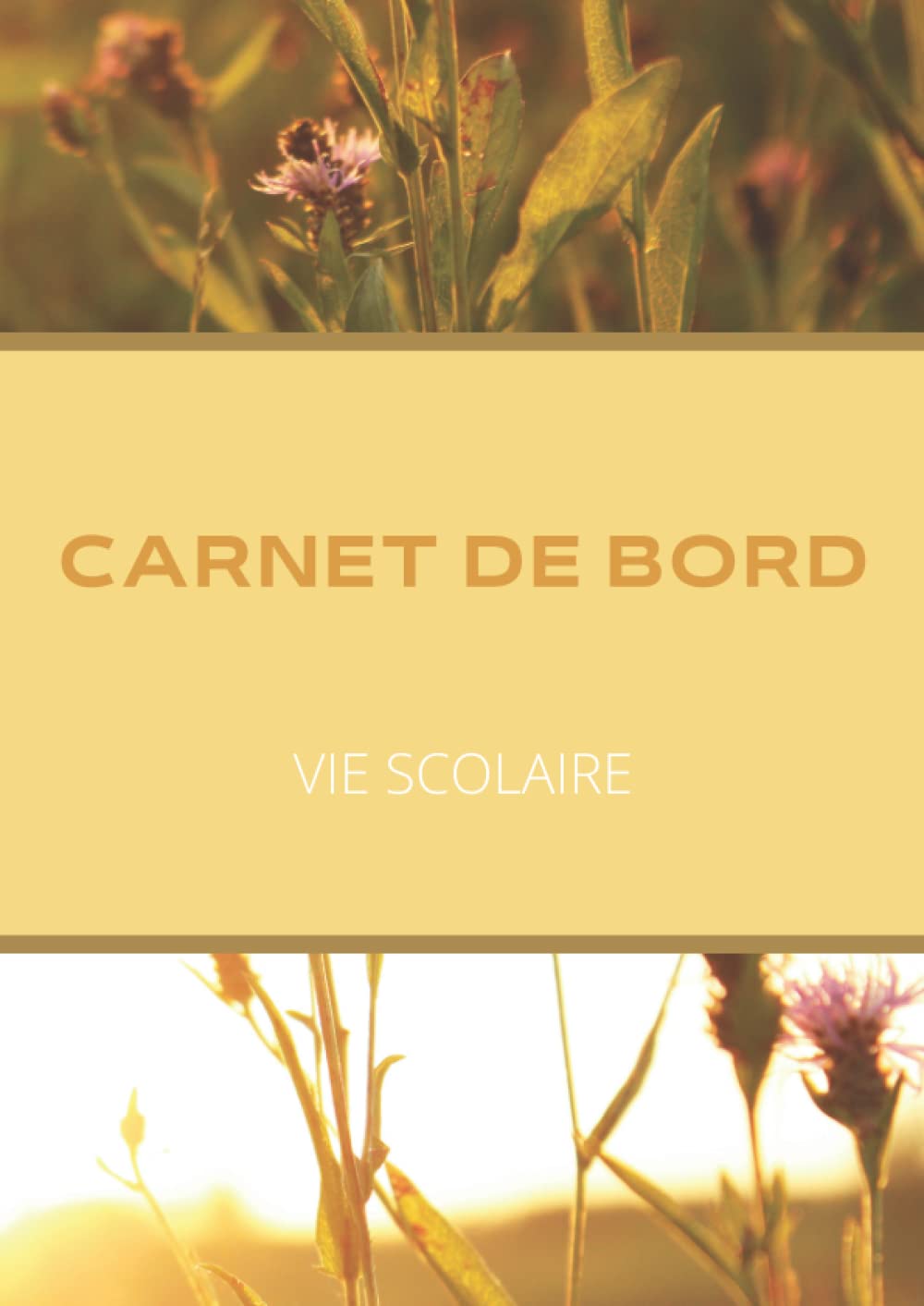 Carnet de Bord - Vie Scolaire / Informations quotidiennes au sein de la Vie Scolaire / CPE et AED book