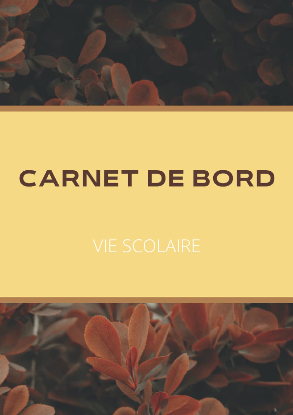 Carnet de Bord - Vie Scolaire / Informations quotidiennes au sein de la Vie Scolaire / CPE et AED book